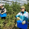 “한국, 베트남 노동자에 월급 제일 많이 주는 나라…2위보다 33％ 높아”