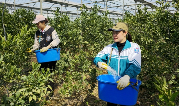 “한국, 베트남 노동자에 월급 제일 많이 주는 나라…2위보다 33％ 높아”