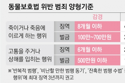 “동물 죽이면 최대 징역 3년”