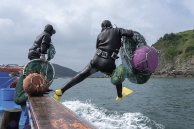 “충남 보령서도 해녀들이 전복 땁니다”