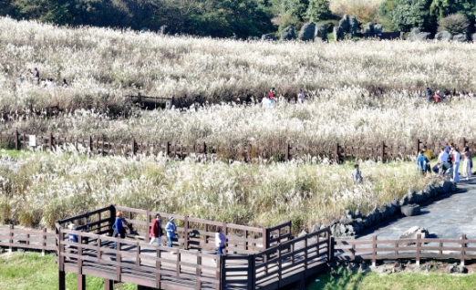 [포토] 산굼부리의 가을