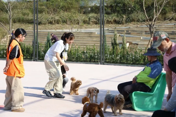 지난 2일 서울 구로구 안양천 반려견 놀이터에서 반려인들이 반려견과 시간을 보내고 있다.  구로구 제공