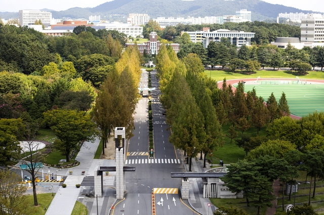 전남대학교.