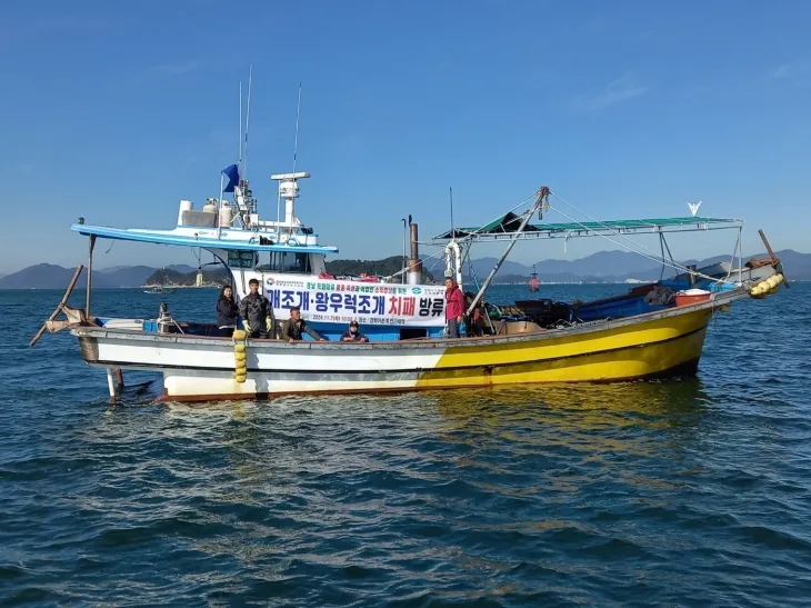 개조개 방류 모습. 2024.11.7. 경남도 제공