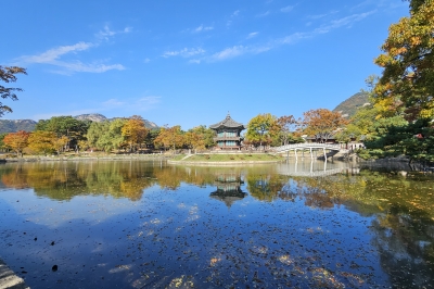 걷다 보니 가을로 물들었고 멈춰서 보니 왕의 곁이었다[조현석 기자의 투어노트]