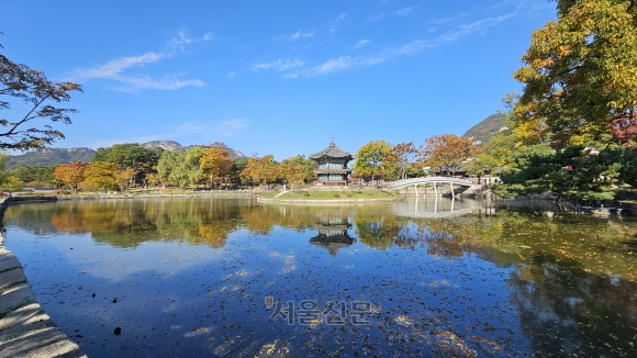 걷다 보니 가을로 물들었고 멈춰서 보니 왕의 곁이었다