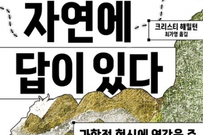 바닷가재서 찾은 ‘X선 망원경’… 영감이 된 자연