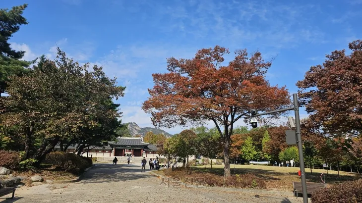 경복궁 서쪽 언덕 위에 지어진 경희궁 산책로를 따라 걷고 있는 사람들의 모습이다.