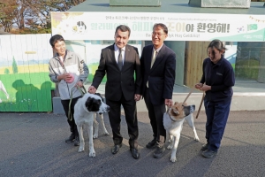 尹부부 선물받은 투르크메니스탄 국견 근황…“훌륭한 적응력”