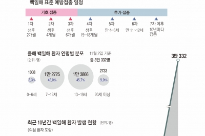 영아 사망 부른 백일해… 임신부, 뱃속 아가 위해 예방접종 필수