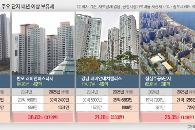 집값 뛴 서울 최대 39% ‘보유세 폭탄’… 반래퍼 372만원 더 낸다