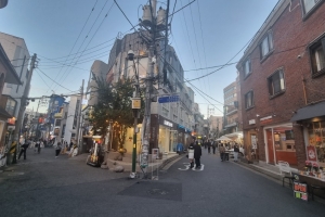 어머! 찐맛, 설렘의 ‘끼리끼리길’…우와~ 독특, 오감의 ‘미로길’