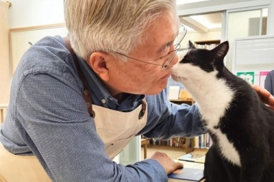 이재명 대위기 속…문재인 ‘고양이와 뽀뽀’ 사진