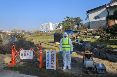 전남 영암 가금 농가, 조류인플루엔자 항원 확인