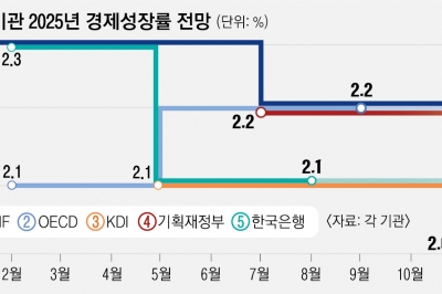 “트럼프 보편관세 땐 GDP 0.2%P 하락”… 한국 저성장 경고음[뉴스 분석]