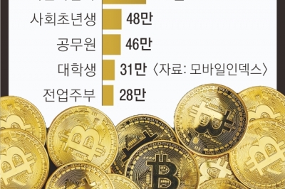 가상자산 투자자 760만명 시대… 주류는 ‘강남구·40대·공무원’