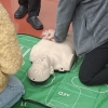 동대문구, 무료 심폐소생술 교육 상시 운영