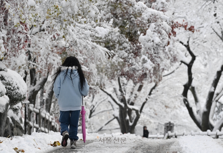 서울 전역에 대설주의보가 발효된 27일 서울 남산에서 한 시민이 이동하고 있다. 홍윤기 기자