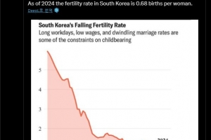 일론 머스크 또다시 한국 저출산 문제 언급