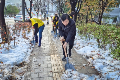 서초구, 제설작업 총력…전성수 구청장 진두지휘