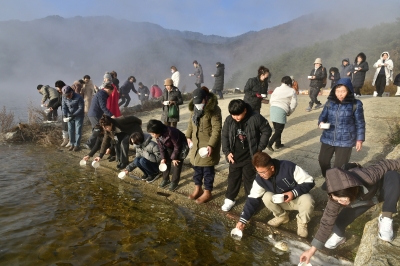 인제 빙어호에서 치어 방생