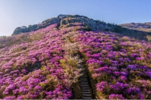 여수 영취산 흥국사 일원, 국가지정자연유산 명승 지정