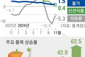 1%대 성장률·물가 ‘D의 공포’… “재정확대로 내수·소비 살려야”