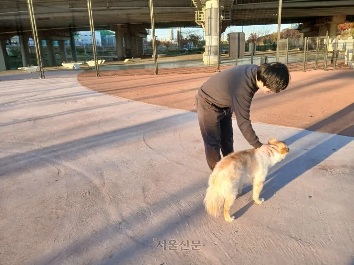 안양천 고척교 아래 반려견 놀이터에서 김모씨가 함께 산책 나온 반려견 봄이를 쓰다듬고 있다.