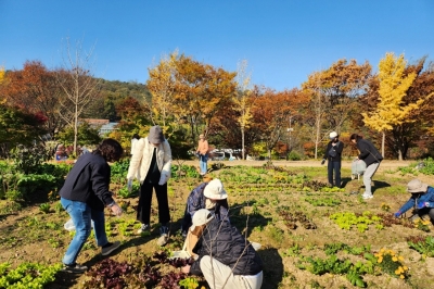 관악구, 강감찬·낙성대 텃밭 경작 우수 구민 시상