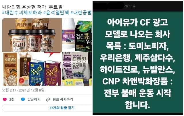 12.3 비상계엄 사태에 이은 대통령 탄핵 정국으로 혼란이 확산한 가운데, 그 불똥이 여러 곳으로 튀고 있다. 대표적으로는 윤석열 대통령 탄핵에 꾸준히 반대 입장을 밝혀온 윤상현 국민의힘 의원과 탄핵 촉구 집회를 후원한 가수 아이유가 유탄을 정통으로 맞는 중이다. 소셜미디어(SNS) 엑스(X) 캡처