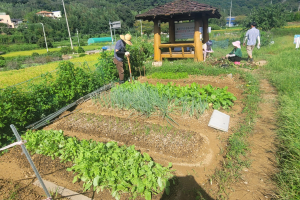 부산에 고향사랑기부하면 ‘텃밭 분양권’…내년 답례품 24종 선정