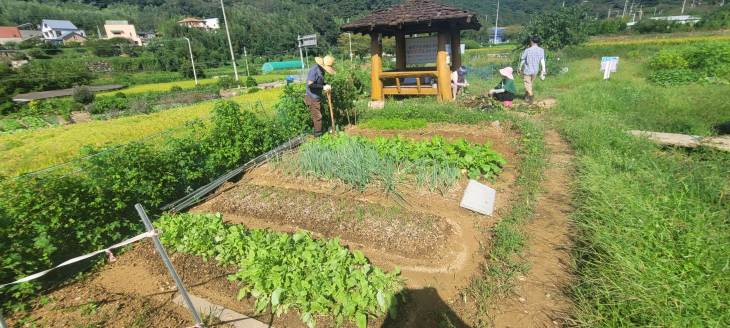 내년부터 고향사랑 기부제 답례품으로 선택할 수 있는 부산 기장군 철마면 공영 텃밭. 부산시 제공.