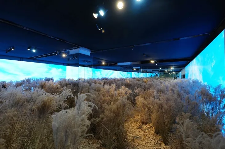 주요 섹션 중 하나인 ‘Overwhelming Zone’은 국내 최대 규모 전시장에서 첨단 디지털 기술로 구현한 영화 속 배경 ‘밀밭’과 청년 토토 시절의 하이라이트를 관람할 수 있는 이머시브룸으로 구성돼 마치 영화 속에 들어온 것 같은 생생한 경험이 가능하다.  사진 - 숲인터네셔널제공