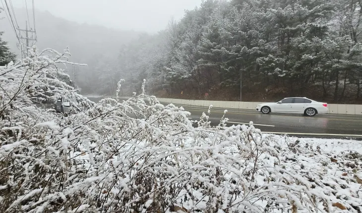 눈길 운전 조심조심