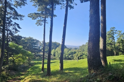 살아라, 그리고 기억하라… “죽은 자가 산 자를 구한다”[강동삼의 벅차오름]