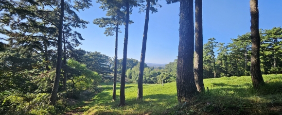 살아라, 그리고 기억하라… “죽은 자가 산 자를 구한다”