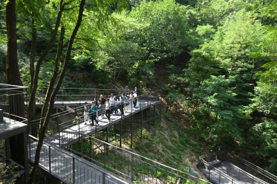 중구 올해의 정책 1위는 ‘남산자락숲길’