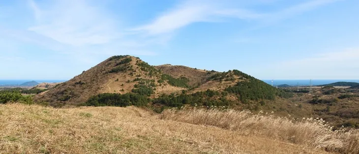 새해 1월1일부터 자연휴식년제가 해제되는 제주시 구좌읍 송당리 문석이오름. 제주도 제공