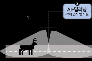 야생동물 ‘로드킬’ 저감…관리 지역 100개 구간 추가 선정