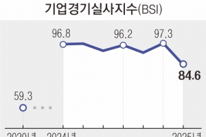 대기업도 中企도 내년 체감경기 ‘꽁꽁’… 소비 위축도 길어진다