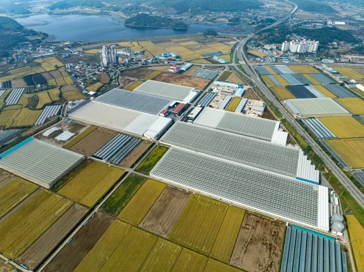 스마트팜단지. 충남도 제공