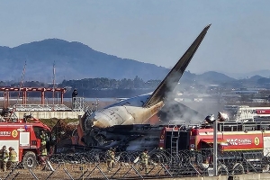 “무안공항 추락 원인 ‘버드 스트라이크’로 랜딩기어 고장 추정”