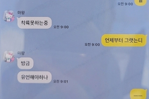 “새가 날개에 꼈어, 유언해야 하나”…희생자들도 위급 상황 인지한 듯