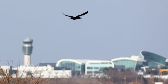 최저가 썼던 금호건설이 시공권…무안공항 공사부터 특혜 논란