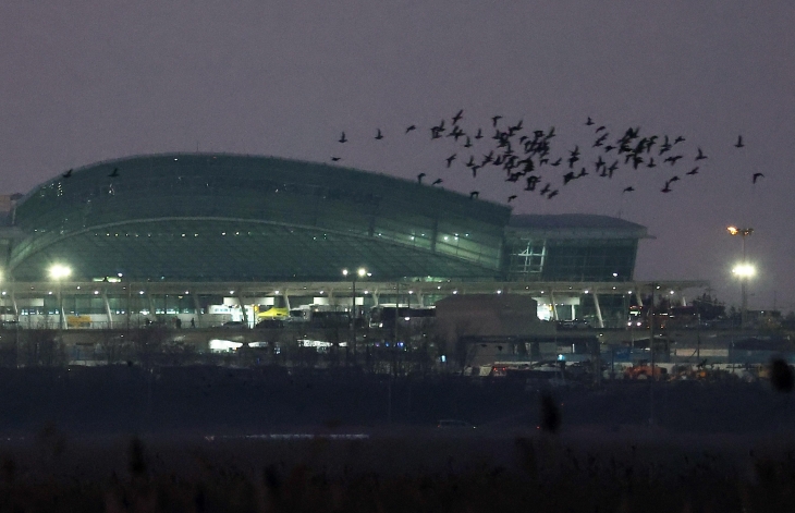 1일 오후 전남 무안군 무안국제공항 인근에서 새들이 날고 있다. 2025.1.1 연합뉴스