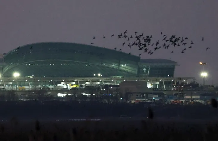 1일 오후 전남 무안군 무안국제공항 인근에서 새들이 날고 있다. 2025.1.1. 연합뉴스