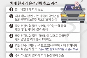 치매 진단 받아도… 장기요양등급 안 받으면 운전 못 막는다