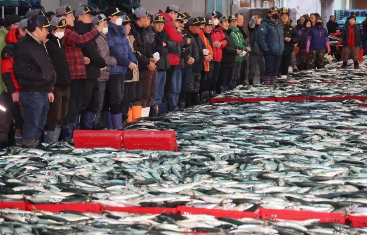 부산어시장 새해 첫 수산물 경매
