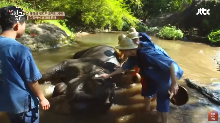 지난 3일(현지시간) 태국에서 22세 스페인 관광객이 코끼리 목욕 체험을 하던 중 사망하는 일이 발생했다. 한국인들도 태국 여행에서 종종 즐기는 체험 활동이라 주의가 요구된다. 사진은 2016년 3월 방송된 JTBC 예능 ‘내 친구의 집은 어디인가’에서 알베르토와 갓세븐 잭슨, 뱀뱀 등이 코끼리를 목욕시키는 모습. 유튜브 채널 ‘JTBC 엔터테인먼트’ 캡처