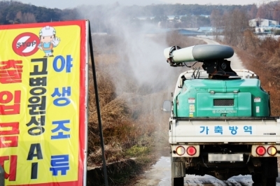 전북 김제 오리농장에서 고병원성 AI…전국 21번째